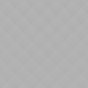 Sports Bag for Women and Men